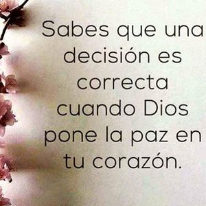 Meet your Posher, Catrina